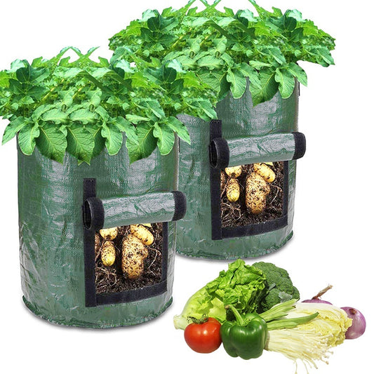 Vegetable Planter Growing Bag