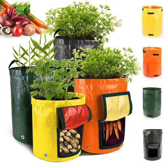 Vegetable Grow Bags For Planting